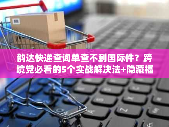 韵达快递查询单查不到国际件？跨境党必看的5个实战解决法+隐藏福利