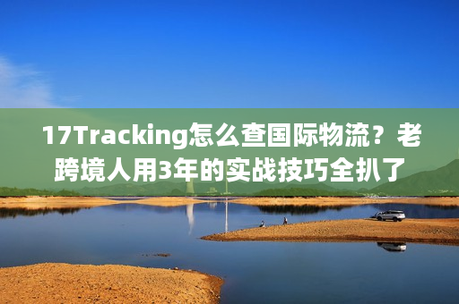 17Tracking怎么查国际物流？老跨境人用3年的实战技巧全扒了