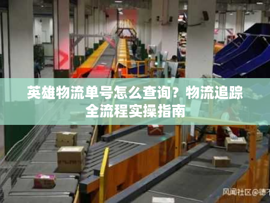 英雄物流单号怎么查询？物流追踪全流程实操指南