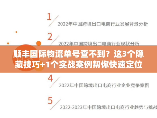 顺丰国际物流单号查不到？这3个隐藏技巧+1个实战案例帮你快速定位包裹