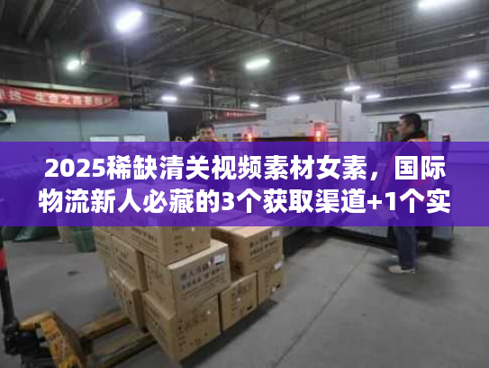 2025稀缺清关视频素材女素，国际物流新人必藏的3个获取渠道+1个实战案例