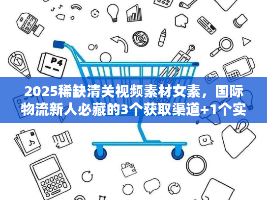 2025稀缺清关视频素材女素，国际物流新人必藏的3个获取渠道+1个实战案例