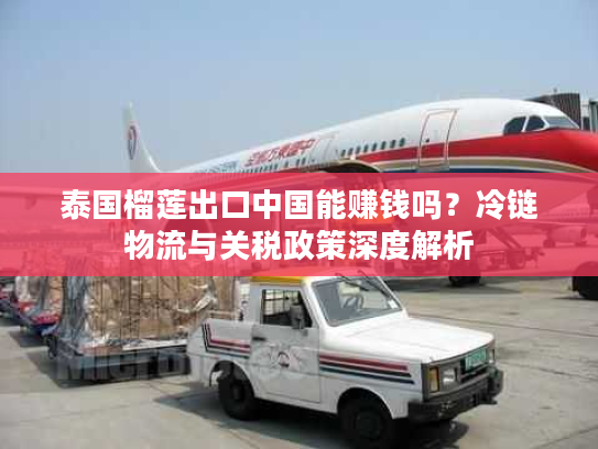 泰国榴莲出口中国能赚钱吗？冷链物流与关税政策深度解析