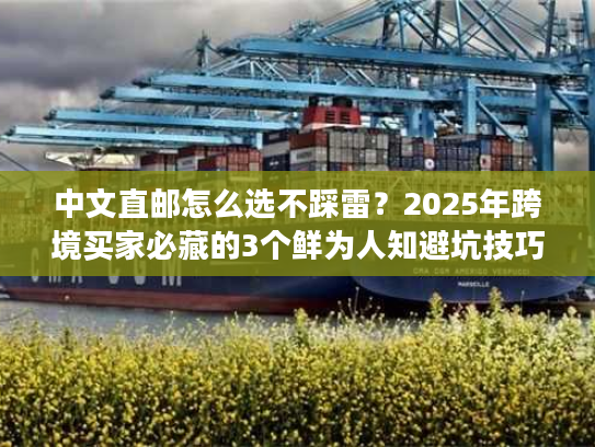 中文直邮怎么选不踩雷?2025年跨境买家必藏的3个鲜为人知避坑技巧 中文直邮怎么选不踩雷?2025年跨境买家必藏的3个鲜为人知避坑技巧