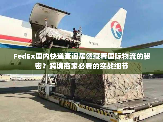 FedEx国内快递查询居然藏着国际物流的秘密？跨境商家必看的实战细节