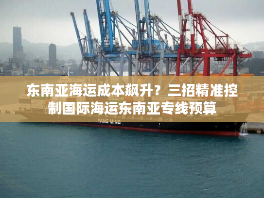 东南亚海运成本飙升？三招精准控制国际海运东南亚专线预算
