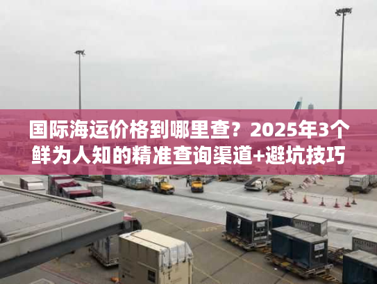 国际海运价格到哪里查？2025年3个鲜为人知的精准查询渠道+避坑技巧