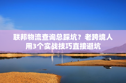 联邦物流查询总踩坑？老跨境人用3个实战技巧直接避坑