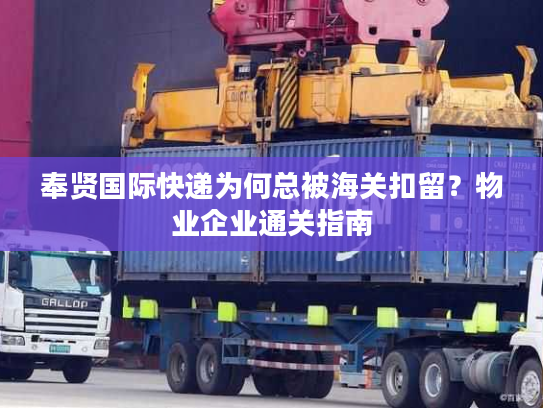 奉贤国际快递为何总被海关扣留？物业企业通关指南