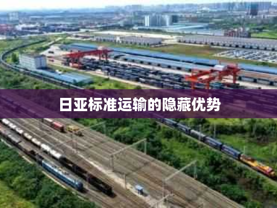 日亚标准运输的隐藏优势