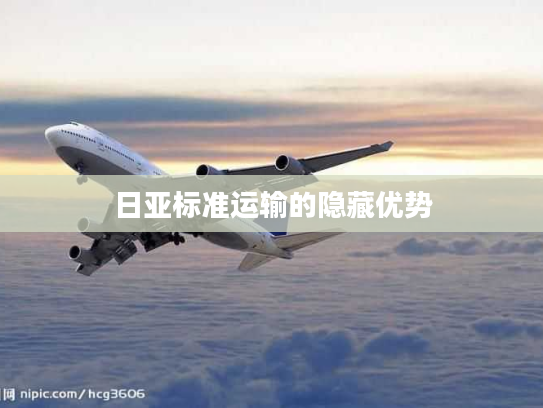 日亚标准运输的隐藏优势
