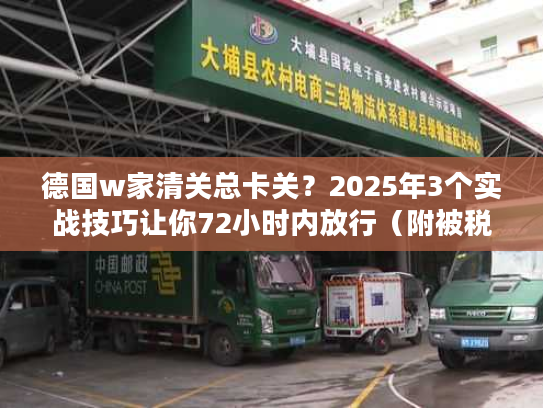 德国w家清关总卡关？2025年3个实战技巧让你72小时内放行（附被税应对方案）