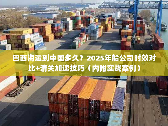 巴西海运到中国多久？2025年船公司时效对比+清关加速技巧（内附实战案例）