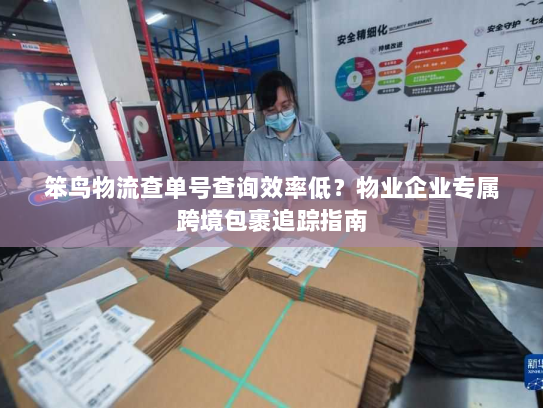 笨鸟物流查单号查询效率低？物业企业专属跨境包裹追踪指南
