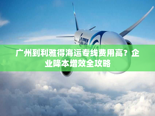 广州到利雅得海运专线费用高？企业降本增效全攻略
