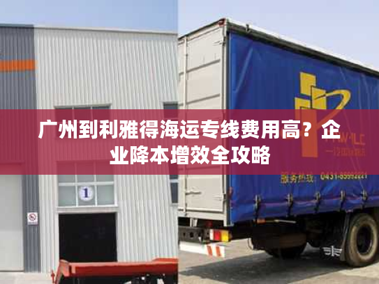 广州到利雅得海运专线费用高？企业降本增效全攻略