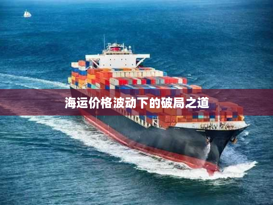 海运价格波动下的破局之道