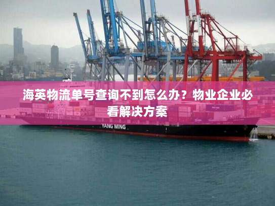 海英物流单号查询不到怎么办？物业企业必看解决方案
