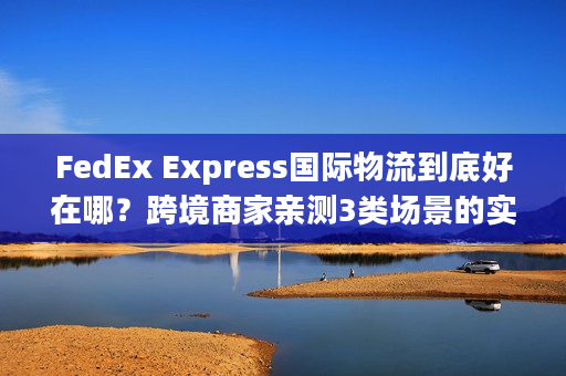 FedEx Express国际物流到底好在哪？跨境商家亲测3类场景的实战答案