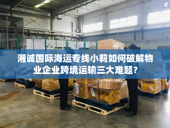 湘诚国际海运专线小莉如何破解物业企业跨境运输三大难题？