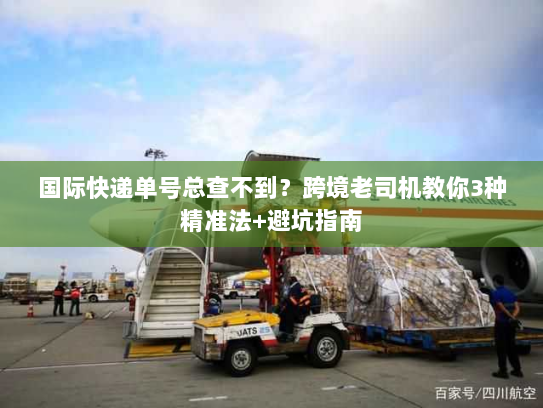 国际快递单号总查不到？跨境老司机教你3种精准法+避坑指南