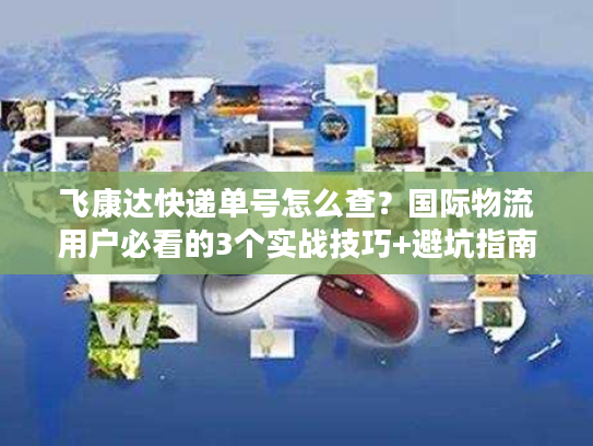 飞康达快递单号怎么查？国际物流用户必看的3个实战技巧+避坑指南