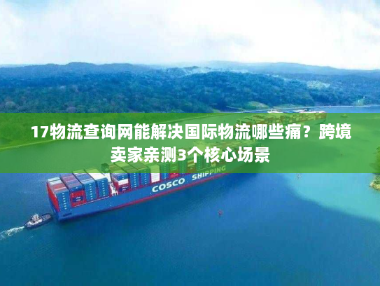 17物流查询网能解决国际物流哪些痛？跨境卖家亲测3个核心场景