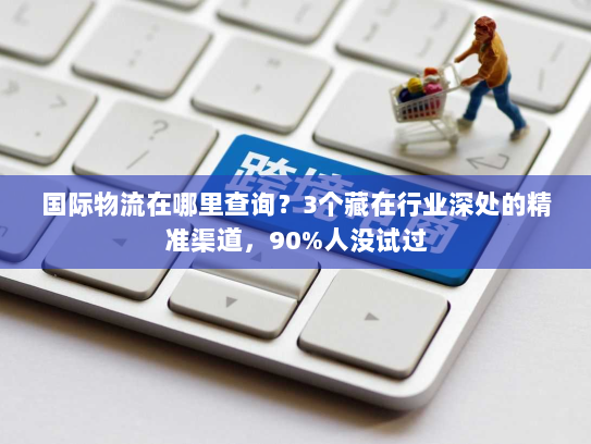 国际物流在哪里查询?3个藏在行业深处的精准渠道,90%人没试过 国际物流在哪里查询?3个藏在行业深处的精准渠道,90%人没试过
