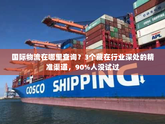 国际物流在哪里查询？3个藏在行业深处的精准渠道，90%人没试过