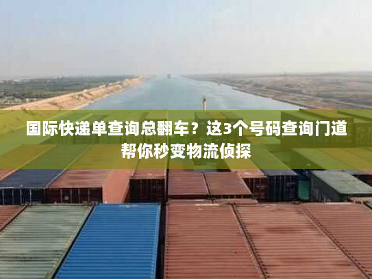 国际快递单查询总翻车？这3个号码查询门道帮你秒变物流侦探