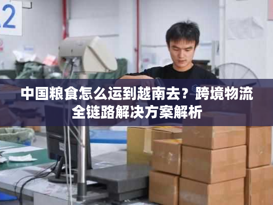中国粮食怎么运到越南去?跨境物流全链路解决方案解析 中国粮食怎么运到越南去?跨境物流全链路解决方案解析
