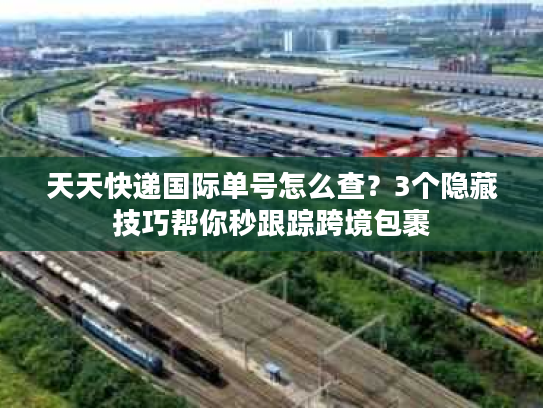 天天快递国际单号怎么查？3个隐藏技巧帮你秒跟踪跨境包裹