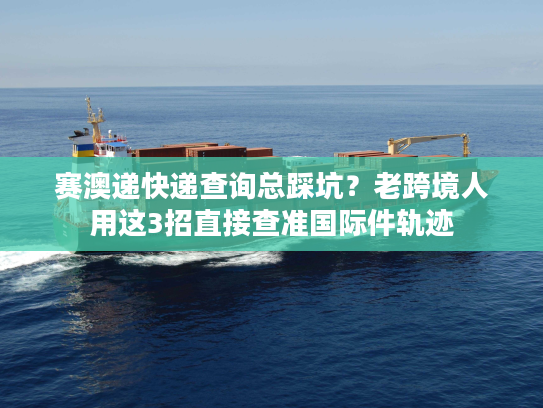 赛澳递快递查询总踩坑？老跨境人用这3招直接查准国际件轨迹