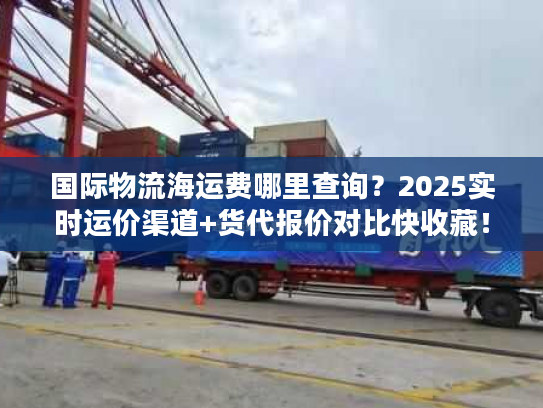 国际物流海运费哪里查询？2025实时运价渠道+货代报价对比快收藏！