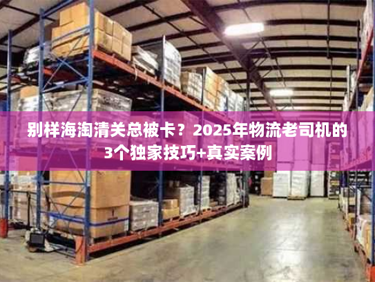 别样海淘清关总被卡？2025年物流老司机的3个独家技巧+真实案例