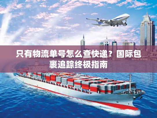 只有物流单号怎么查快递？国际包裹追踪终极指南