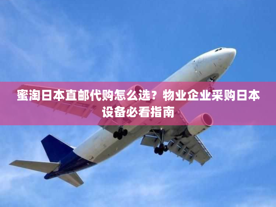 蜜淘日本直邮代购怎么选？物业企业采购日本设备必看指南