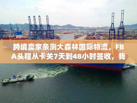跨境卖家亲测大森林国际物流，FBA头程从卡关7天到48小时签收，我做对了这3件事