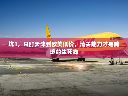 坑1，只盯天津到欧美低价，清关能力才是跨境的生死线