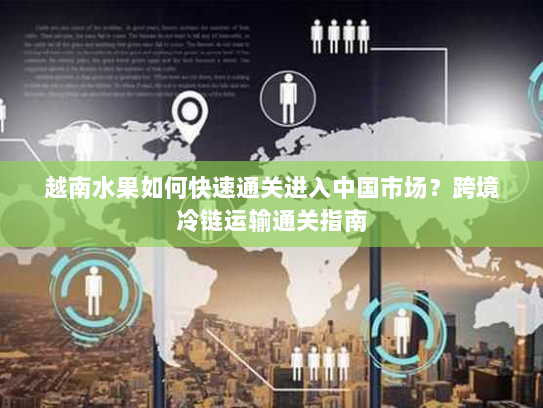 越南水果如何快速通关进入中国市场?跨境冷链运输通关指南 越南水果如何快速通关进入中国市场?跨境冷链运输通关指南