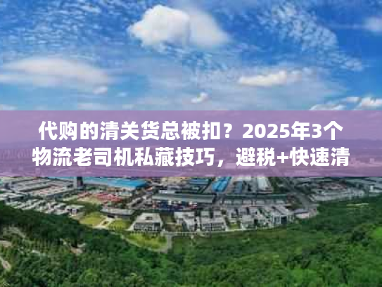 代购的清关货总被扣？2025年3个物流老司机私藏技巧，避税+快速清关