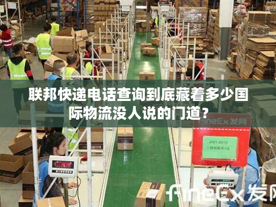 联邦快递电话查询到底藏着多少国际物流没人说的门道？
