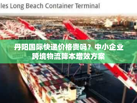 丹阳国际快递价格贵吗？中小企业跨境物流降本增效方案