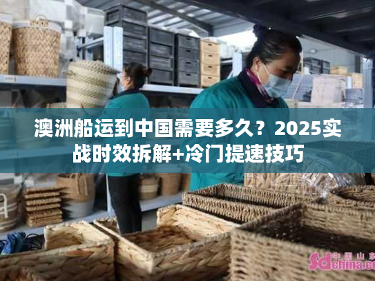 澳洲船运到中国需要多久？2025实战时效拆解+冷门提速技巧