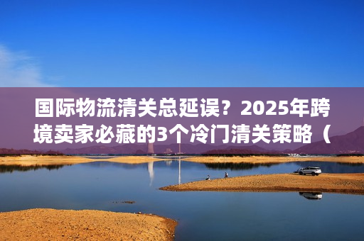 国际物流清关总延误？2025年跨境卖家必藏的3个冷门清关策略（附海关最新数据）