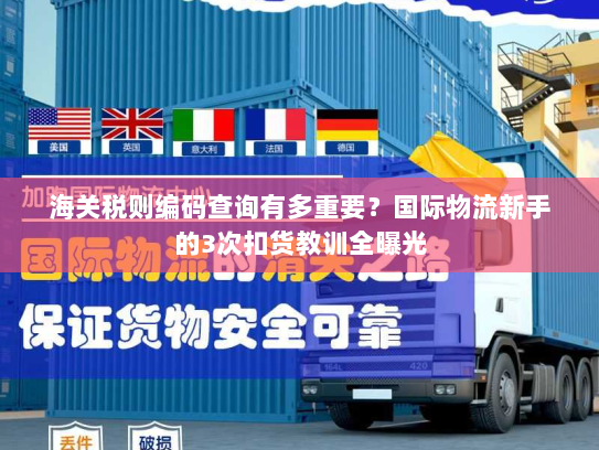 海关税则编码查询有多重要？国际物流新手的3次扣货教训全曝光