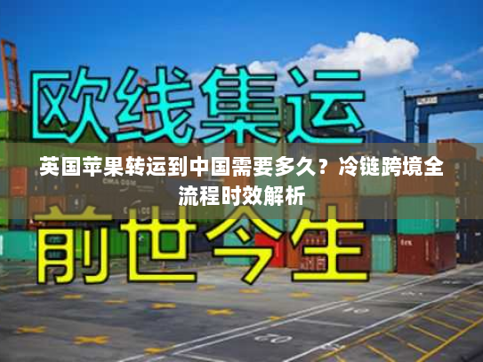 英国苹果转运到中国需要多久?冷链跨境全流程时效解析 英国苹果转运到中国需要多久?冷链跨境全流程时效解析