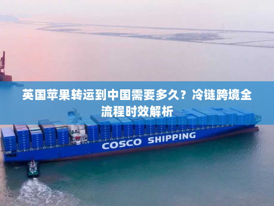 英国苹果转运到中国需要多久？冷链跨境全流程时效解析
