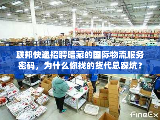 联邦快递招聘暗藏的国际物流服务密码，为什么你找的货代总踩坑？
