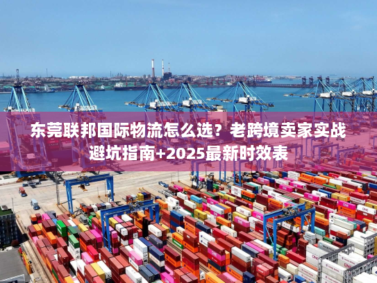 东莞联邦国际物流怎么选？老跨境卖家实战避坑指南+2025最新时效表